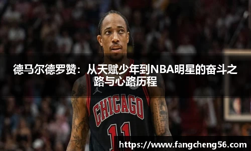 fun88乐天堂全站